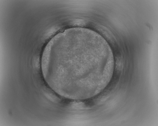 X0000115310403200911231333