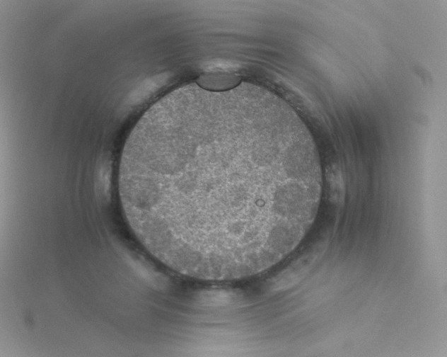 X0000115310404200911231333