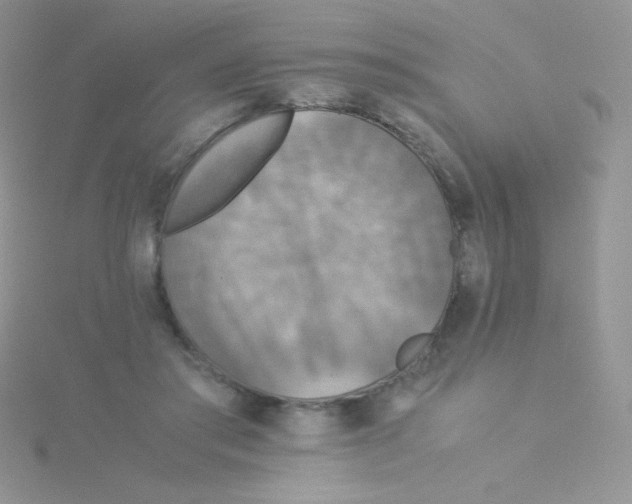 X0000115310405200911231333