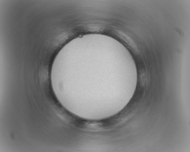 X0000115310407200911231333