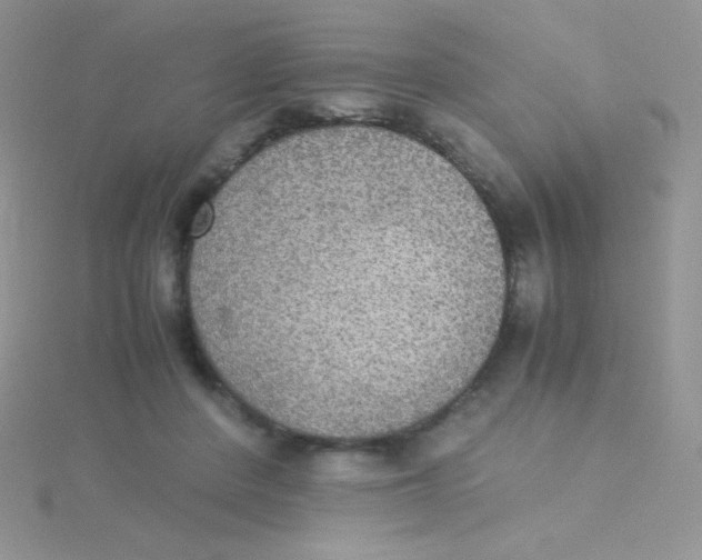 X0000115310408200911231333