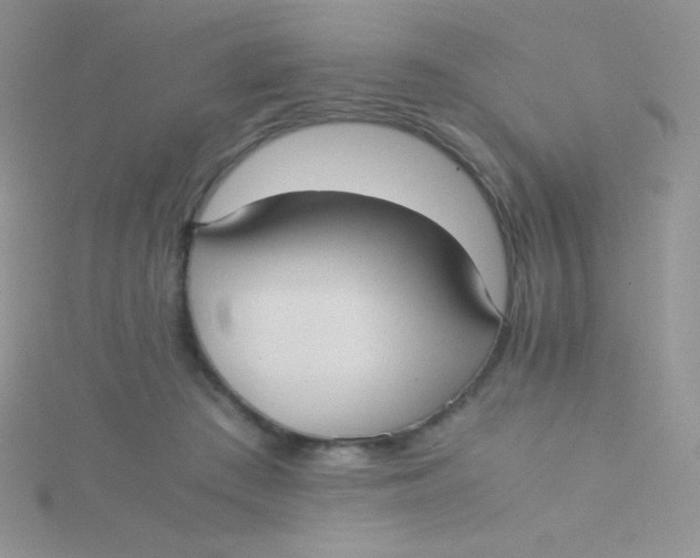 X0000115310409200911231333