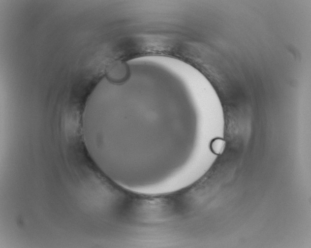 X0000115310411200911231333