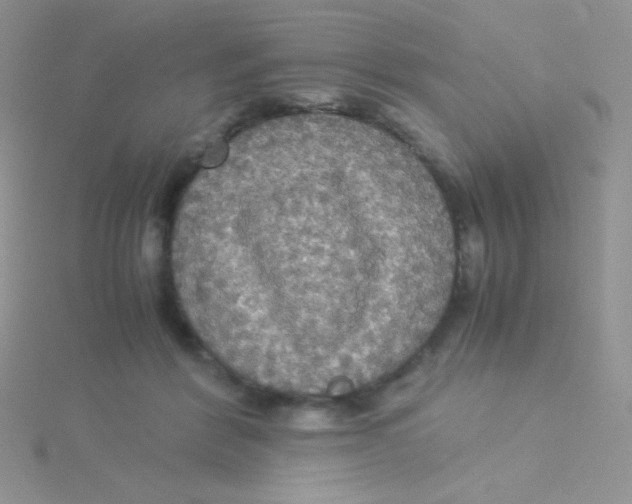 X0000115310412200911231333