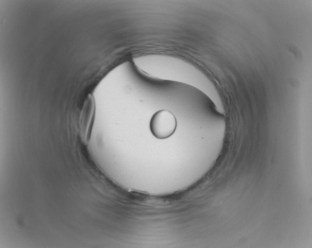 X0000115310413200911231333