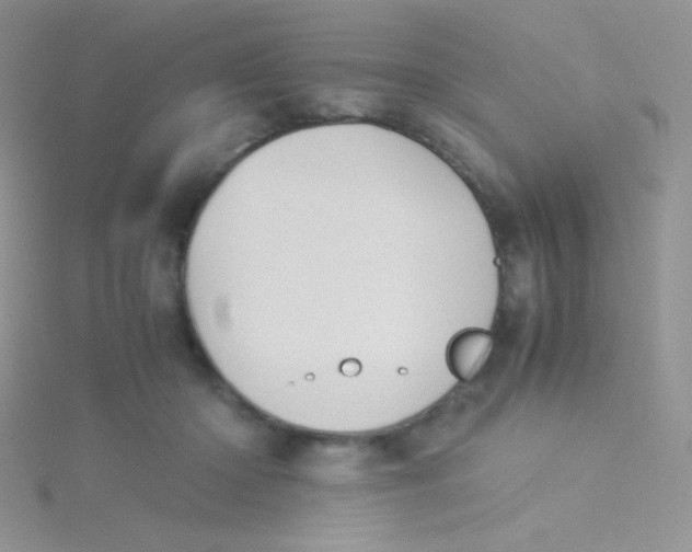 X0000115310414200911231333