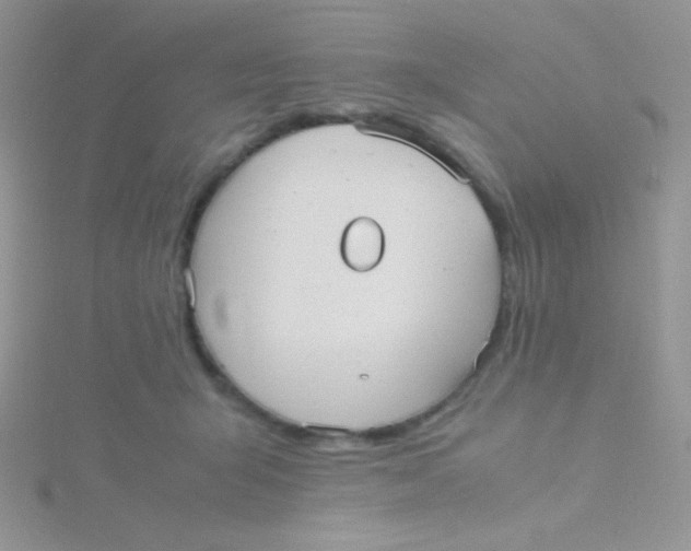 X0000115310415200911231333