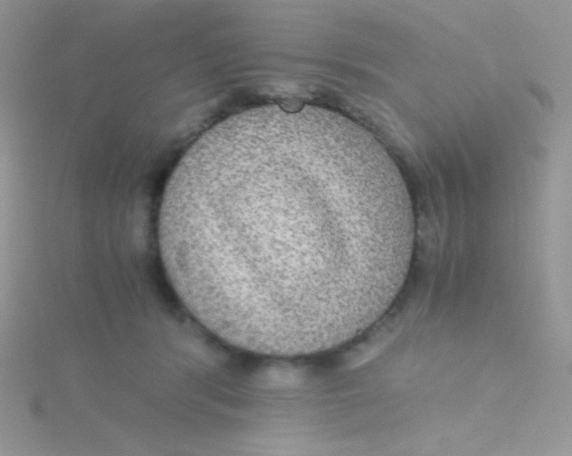 X0000115310416200911231333