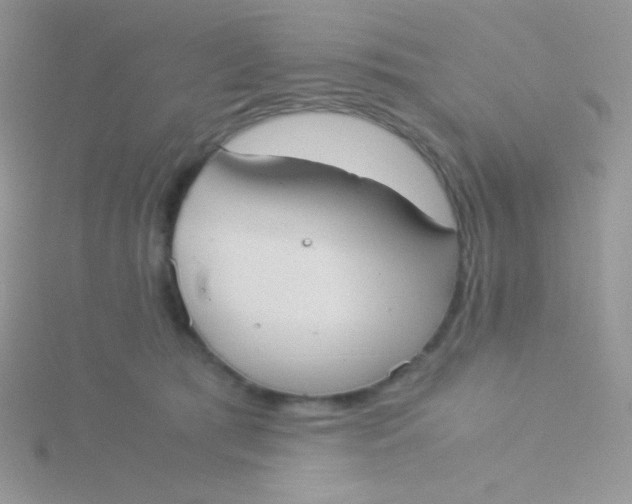 X0000115310417200911231333