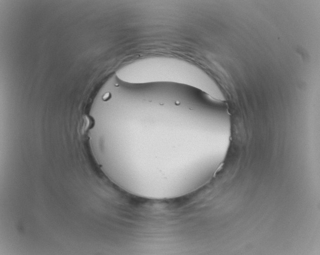 X0000115310419200911231333