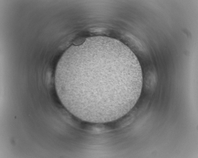 X0000115310420200911231333