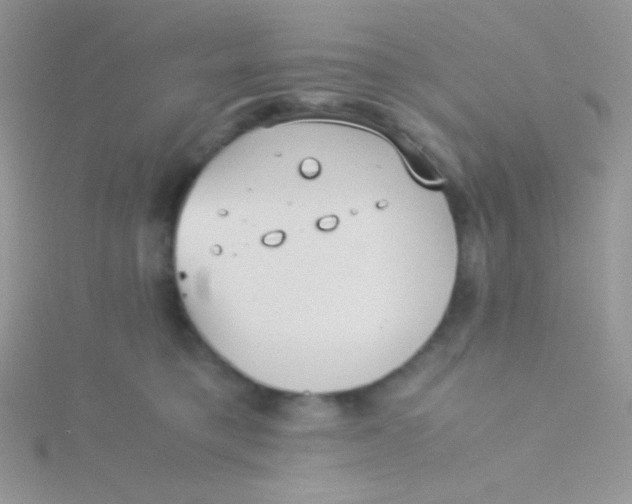 X0000115310421200911231333