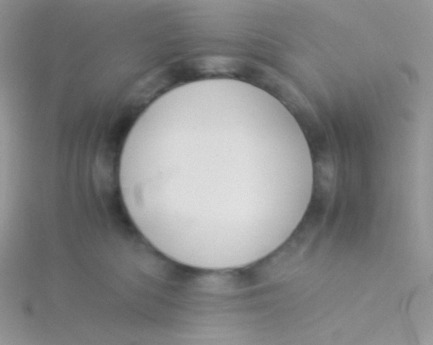 X0000115310422200911231333