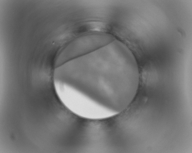 X0000115310423200911231333