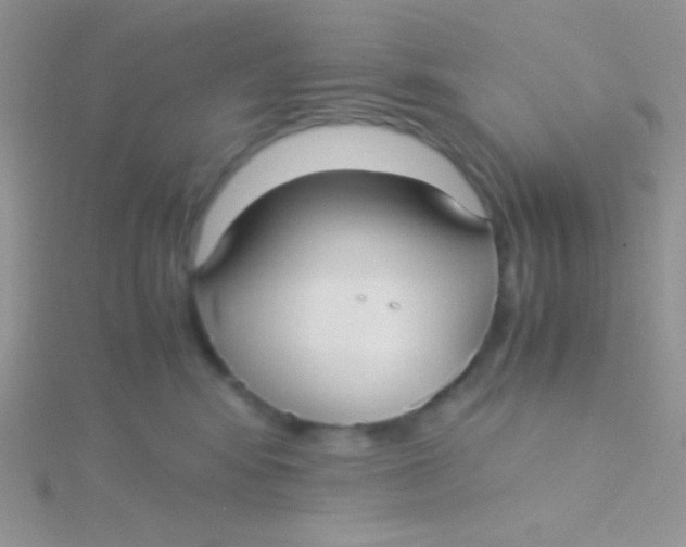 X0000115310424200911231333