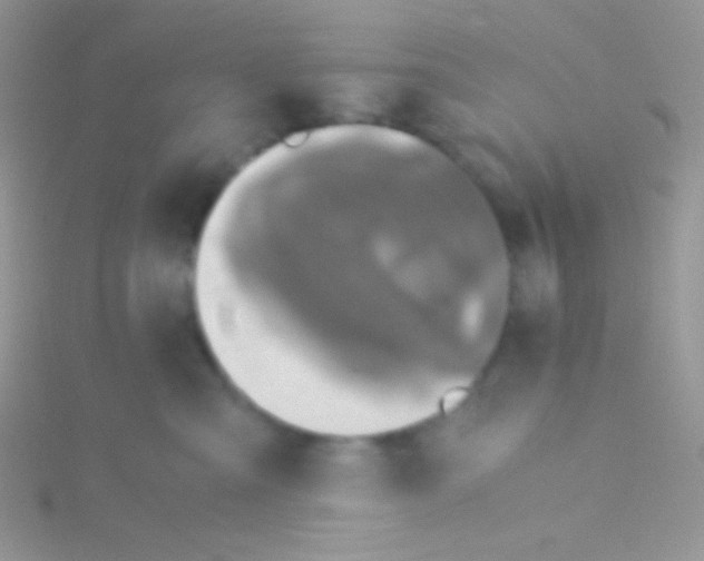 X0000115310427200911231333