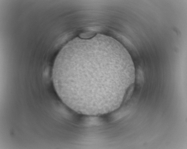 X0000115310428200911231333