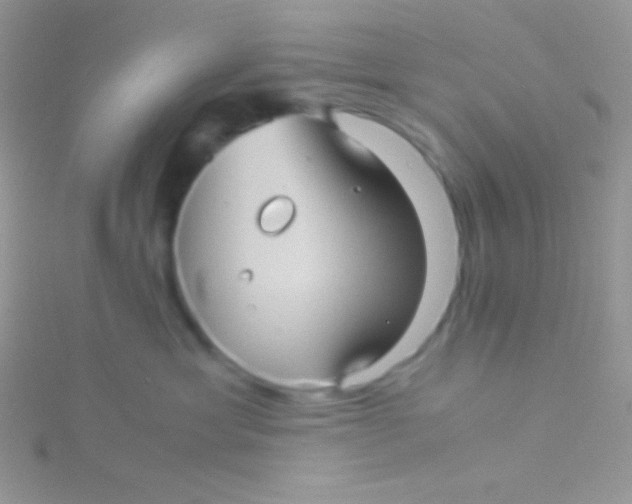 X0000115310429200911231333