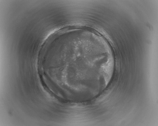 X0000115310434200911231332