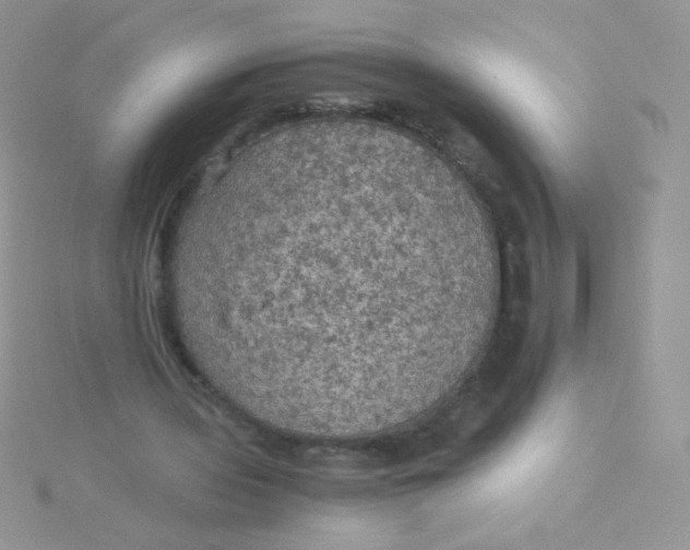 X0000115310435200911231332