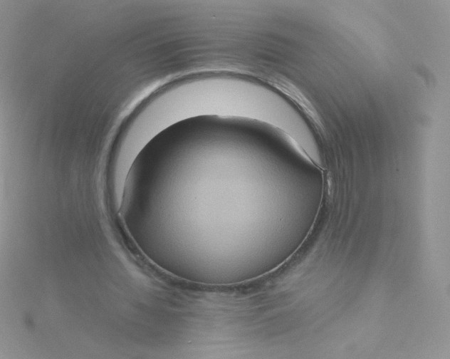 X0000115310436200911231333