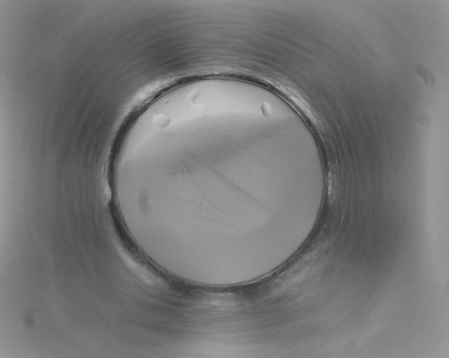 X0000115310438200911231333