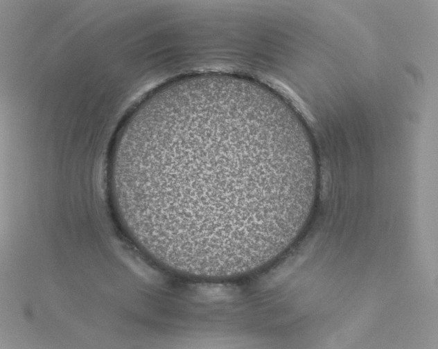 X0000115310439200911231333