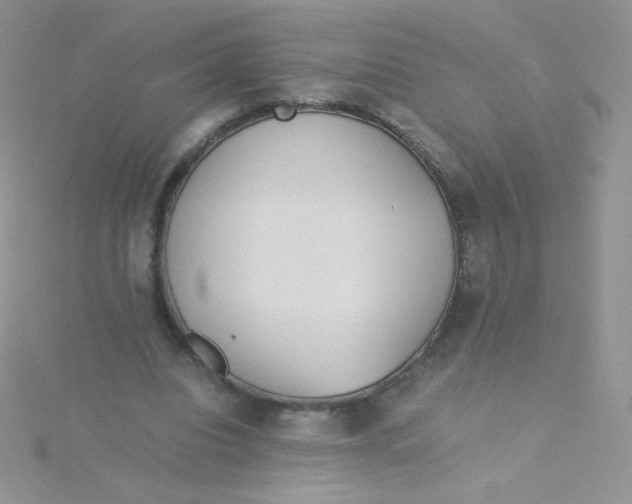 X0000115310440200911231333