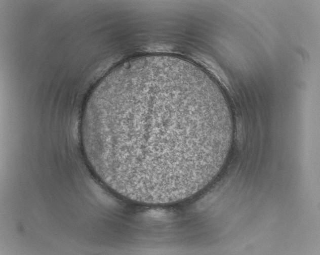 X0000115310441200911231333