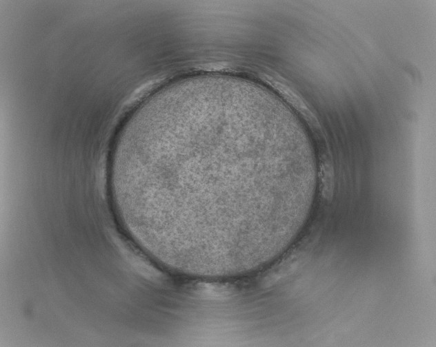 X0000115310442200911231333