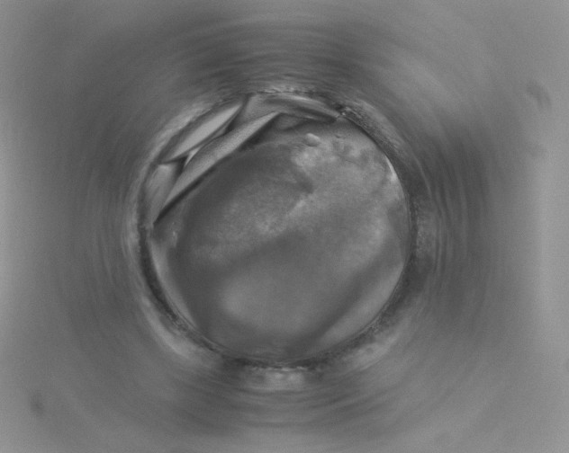 X0000115310443200911231333