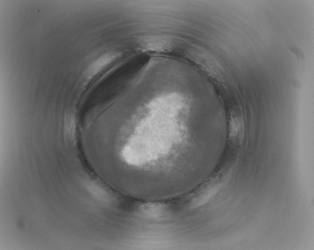 X0000115310444200911231333