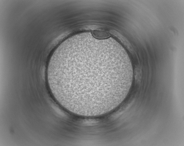 X0000115310445200911231333