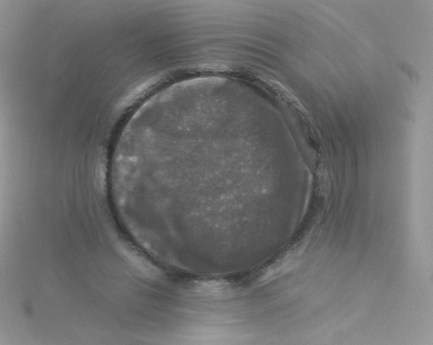 X0000115310446200911231333