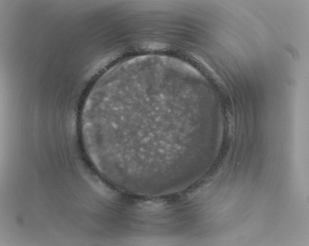 X0000115310447200911231333