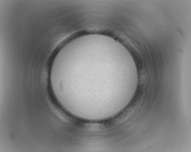 X0000115310448200911231333