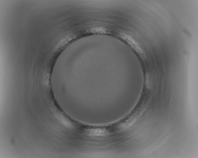 X0000115310449200911231333