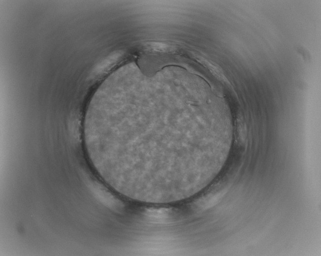 X0000115310450200911231333