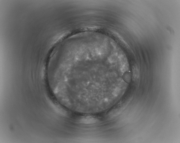 X0000115310451200911231333