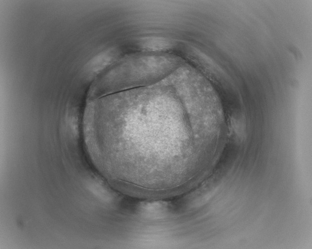 X0000115310452200911231333