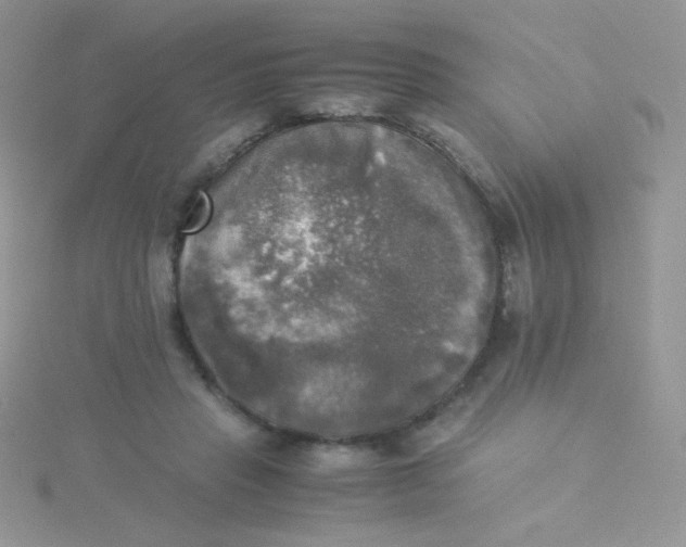 X0000115310453200911231333