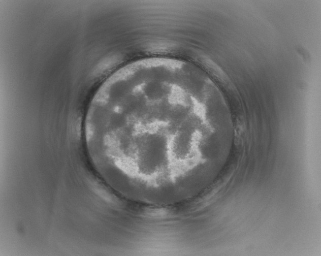 X0000115310454200911231333