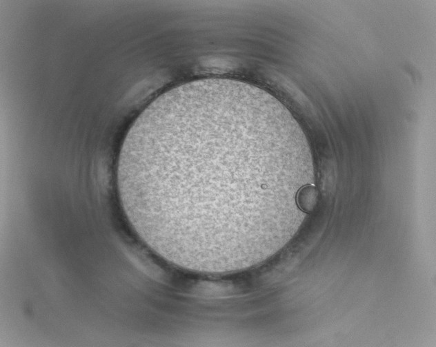 X0000115310455200911231333