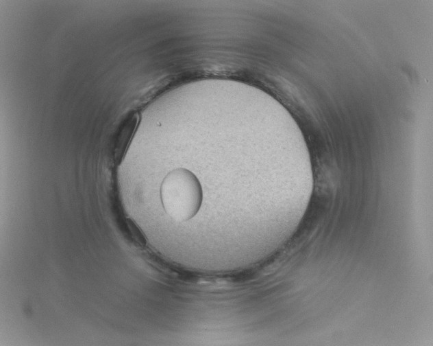 X0000115310456200911231333