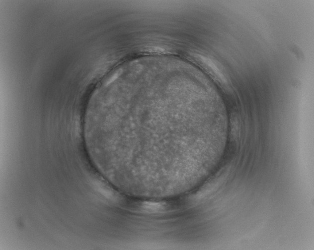 X0000115310457200911231333