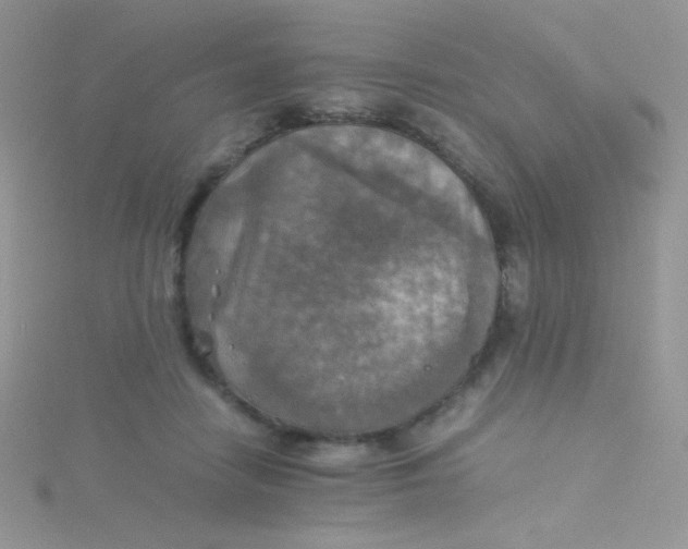 X0000115310458200911231333