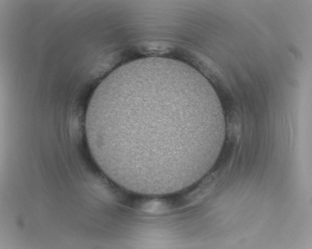 X0000115310460200911231333