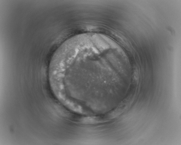 X0000115310461200911231333