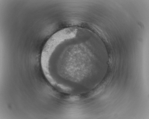 X0000115310462200911231333