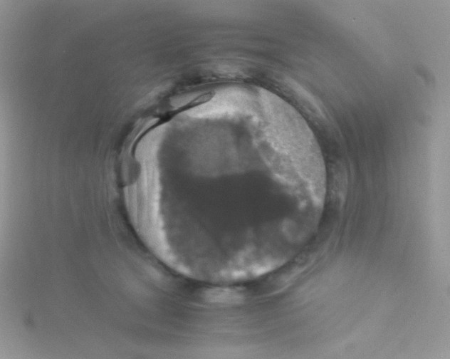 X0000115310465200911231333